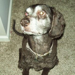 Meet your Posher, Whittney